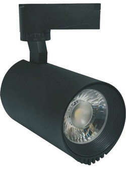 ΦΩΤΙΣΤΙΚΟ ΡΑΓΑΣ 2-LINE - 20W COB DYNAMIC BLACK NATURAL