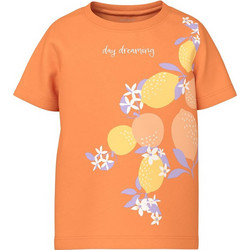 Name It Παιδικό T-Shirt Κοντομάνικο Πορτοκαλί 13226048