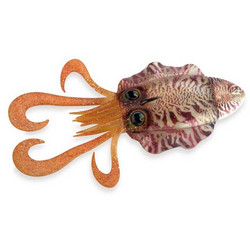 Akami Sepiade Τεχνητό Δόλωμα Φωσφοριζέ 18.5cm 170gr Zebra Natural