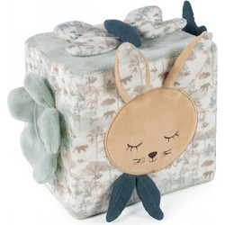 Pasito a Pasito Κύβος Δραστηριοτήτων Bunny Μέντα