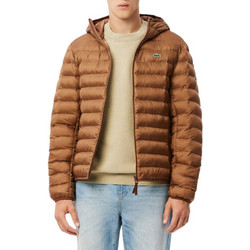 Lacoste Ανδρικό Μπουφάν Χειμωνιάτικο Puffer Ταμπά 3BH2909-SIX