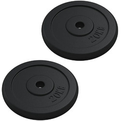 vidaXL Σετ Δίσκοι Μεταλλικοί 2x20kg Φ30mm