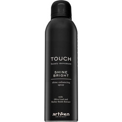 Artego Touch Shine Bright Σπρέι Μαλλιών για Κράτημα & Λάμψη 250ml