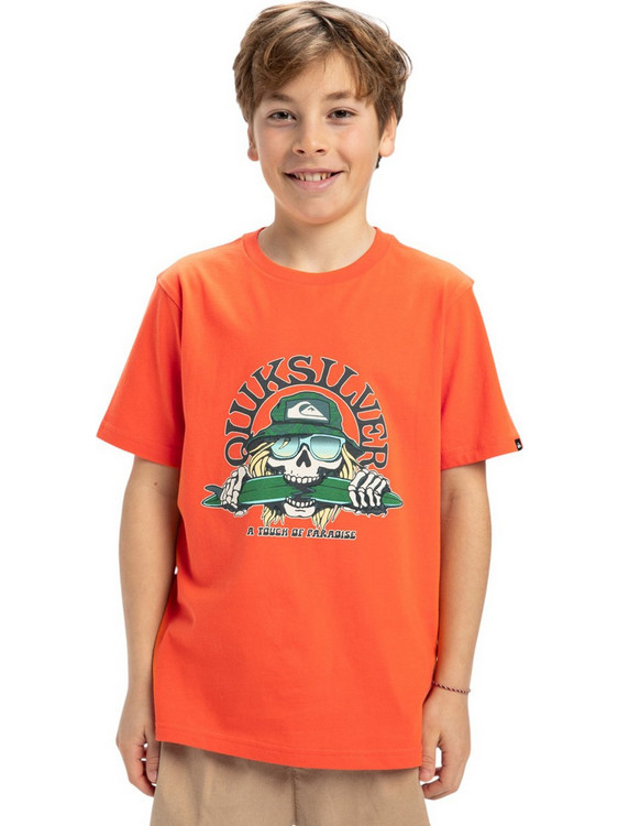 Quiksilver Παιδικό T-Shirt Κοντομάνικο Πορτοκαλί EQBZT04850-NME0