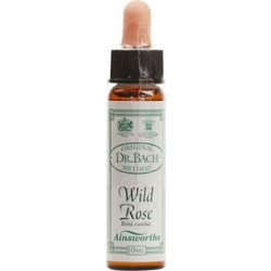 Ainsworths Dr.Bach Wild Rose Ανθοΐαμα σε Σταγόνες για Αποφασιστικότητα 10ml