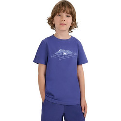 4F Παιδικό T-Shirt Κοντομάνικο Μωβ 4FJWAW25TTSHM2404-31S