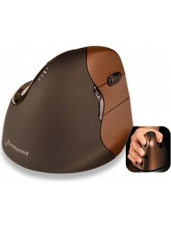 Evoluent 4 Small Ασύρματο Ποντίκι Vertical Brown