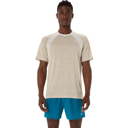 ASICS Road Ανδρικό Αθλητικό T-Shirt Μπεζ 2011D453-100