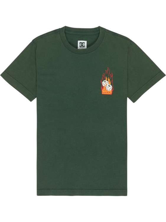 DC Παιδικό T-Shirt Κοντομάνικο Χακί Πορτοκαλί EDBZT03454-GTP0