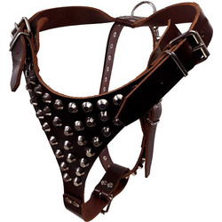 DOMLEATHERS DOMLEATHERS ΔΕΡΜΑΤΙΝΟ ΕΠΙΣΤΗΘΙΟ ΣΚΥΛΟΥ DL 99901 ΚΑΦΕ