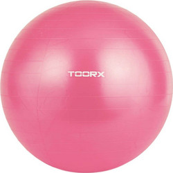 Toorx AHF-069 Μπάλα Γυμναστικής 55cm