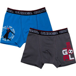 Εφηβικό Boxer Minerva Under Control 2τμχ ΓΚΡΙ ΣΚ.ΡΟΥΑ 42058-150 Ανθρακί