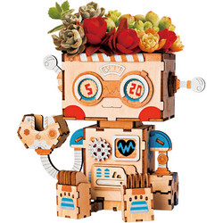Robotime Pot Robot FT761