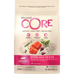Wellness Core Adult Sterilised Grain Free with Salmon 300gr