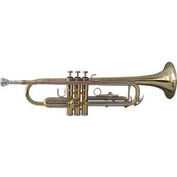 Soundsation STPGD-10 Gold & CaseΚωδικός: 27689815