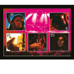 Pink Floyd (Live) Wooden Framed Print (30x40) - FP10349P