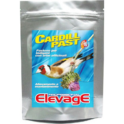 Elevage Cardill Past 4kg