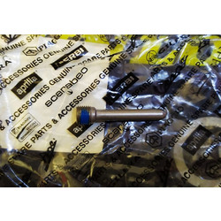Βίδα Δαγκάνας Για Piaggio/Gilera/Vespa/Aprilia/Derbi 50-125-150-180-200-250-300-310-350-400-500-530-800-850cc Καινούργια Γνήσια