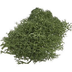 Μους γκαζόν σκούρο πράσινο 20gr 3865356