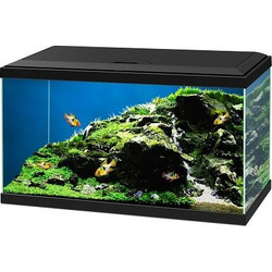 Ciano Aqua 60 Ενυδρείο Ψαριών με Φωτισμό & Φίλτρο 58lt Μαύρο