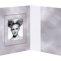 1x100 Daiber Folders Passport Photograph, grey, 31x42 mm