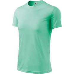 Malfini Fantasy Παιδικό T-Shirt Κοντομάνικο Πράσινο Mint MLI14795