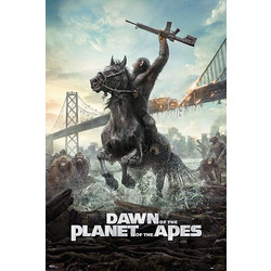 Αφίσα Dawn of the Planet of the Apes (61x91)