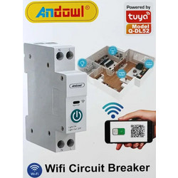 Εξυπνος smart Διακόπτης Ράγας WIFI 63A APP Tuya-Andowl Q-DL52