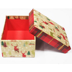 Eurowrap Κουτάκι 8.5χ11.5χ5.8εκ Xmas Tray