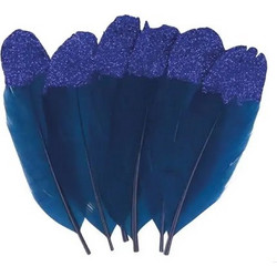 ΦΤΕΡΑ GLITTER ΣΕΤ 6 11 BLEU 13030162