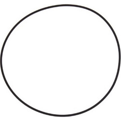 Elring Στεγανοποιητικός Δακτύλιος - 126.001