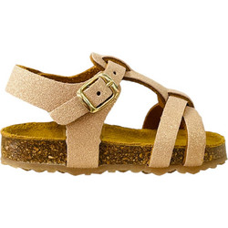 Plakton 865384 Bronze