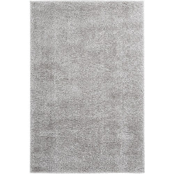 Obsessions Emilia Χαλί Ορθογώνιο Shaggy 200x290cm Emi 250 Silver