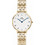 Daniel Wellington Petite Γυναικείο Ρολόι με Χρυσό Μεταλλικό Μπρασελέ DW00100682
