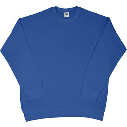 SG Ανδρικό Φούτερ Royal Blue SG23