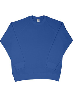 SG Ανδρικό Φούτερ Royal Blue SG23