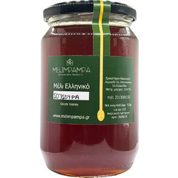 ΜΕΛΙ ΣΟΥΣΟΥΡΑ-ΕΡΕΙΚΗ 920gr