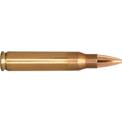 ΦΥΣΙΓΓΙΑ ΔΙΑΜΕΤΡΗΜΑΤΟΣ .223 REM 55 GRAINS