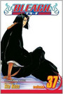 Bleach, Vol. 37 Bleach, Vol. 37