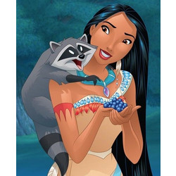 Olympus Diamond Painting Pocahontas with Meeko - Ψηφιδωτό Μωσαικό Ποκαχόντας με Μίκο 40X30