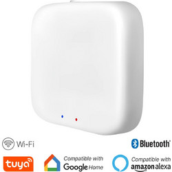 Μονάδα Ελέγχου Μαγνητικής Ράγας Wifi Tuya Λευκή Braytron PD60-99929BR