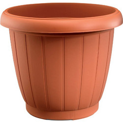 ΓΛΑΣΤΡΑ PLASTONA ΔΕΛΦΟΙ ΤΕΡΑΚΟΤΑ (23X19 CM)