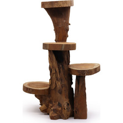 Natural Teak 4 Shelf Display 75cm high