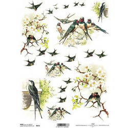 Ριζόχαρτο swallow 21x29εκ. (ITD-R673)