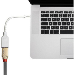Lindy Μετατροπέας mini DisplayPort male σε DisplayPort female Λευκό 1τμχ 41021
