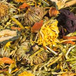 Epigasos Χόρτα για Τρωκτικά Colorful Autumn Mix 500gr με 50% Alfalfa, Καλέντουλα, Καρότο , Ιβίσκο, Μαϊντανό , Αγγούρι