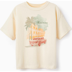 Zippy Παιδικό T-Shirt Κοντομάνικο Εκρού ZKBAP030324050