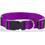 Pet Interest Plain Line Κολάρο Σκύλου Μωβ 1x19-33cm