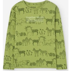 Losan Παιδικό T-Shirt Μακρυμάνικο Πράσινο LKBAP030324060