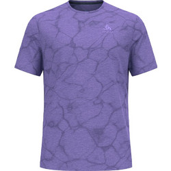 Odlo Ανδρικό Αθλητικό T-Shirt Μωβ 315202-21124
